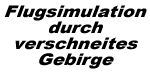 Flugsimulation durch verschneites Gebirge